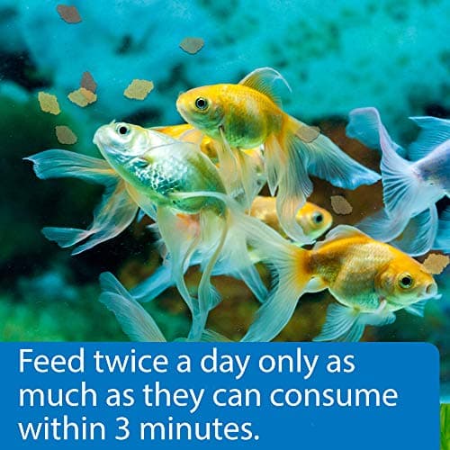API GOLDFISH FLAKES Fish Food .36-Ounce Container — view 2