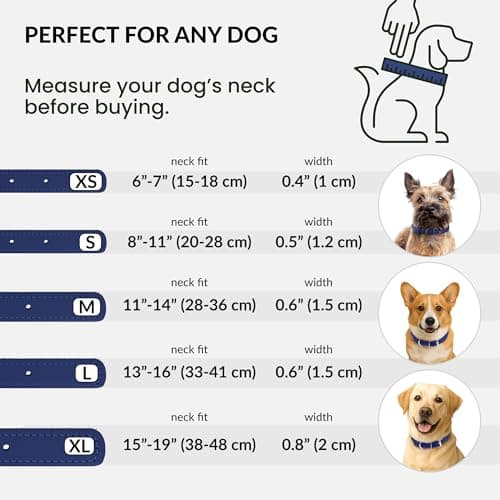 CollarDirect Rolled Leather Dog Collar, Soft Padded Round Puppy Collar, Handmade Genuine Leather Collar Dog Small Large Cat Collars (Deep Blue Smooth, 35-40 cm) — view 4