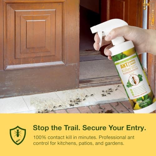 EcoVenger By EcoRaider Ant Killer & Crawling Insect Killer, 16 OZ Ready to Use, Indoor & Outdoor, Kills & Repels, Lasting Prevention, Natural & Non-Toxic Plant Based Formula, Pleasant Citrus Scent — view 2