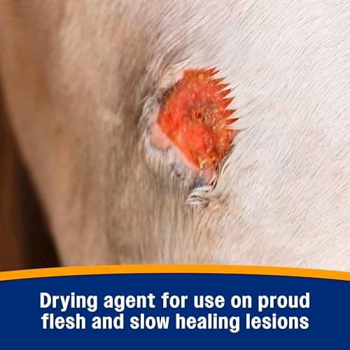 Farnam Wonder Dust Wound Powder, Blood Coagulant for Horses and Show Stock, for Use on Proud Flesh, Granulated Tissue, 4 Ounces — view 4