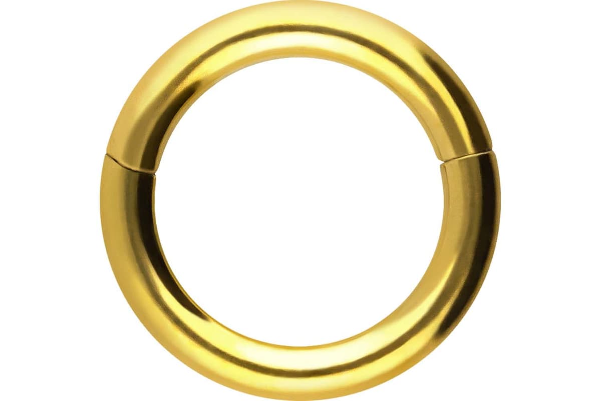 PIERCINGLINE Anillo segmento Clicker de acero quirúrgico – Piercing en oro, plata, rosa, negro o azul – para nariz, tabique, oreja, hélice o tragus — view 63
