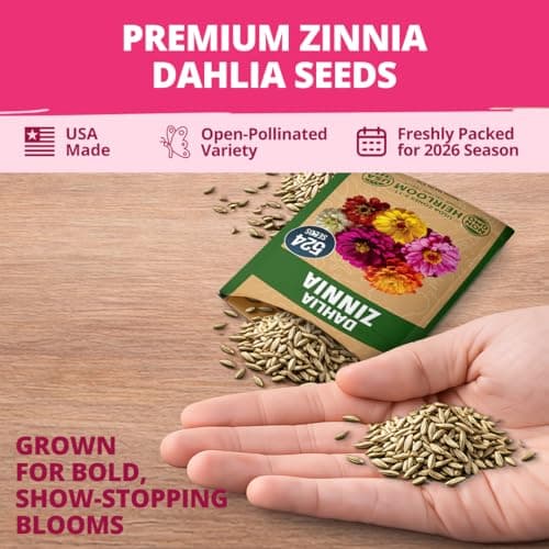 HOME GROWN Zinnia Dahlia Seeds Pack for 2026 Non GMO 524 Flower Seeds | Vibrant Zinnia Elegans for Pollinator Gardens, Borders & Containers | Easy-to-Grow Outdoor Blooms — view 6