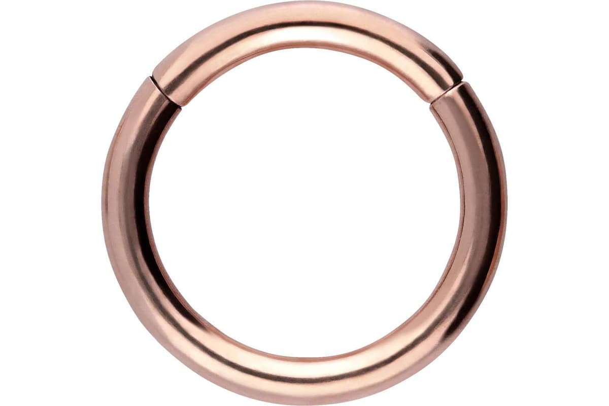 PIERCINGLINE Anillo segmento Clicker de acero quirúrgico – Piercing en oro, plata, rosa, negro o azul – para nariz, tabique, oreja, hélice o tragus — view 145