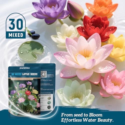 Lotus Seeds for Planting in Water – 30 PCS Mixed Bowl Lotus Seeds, Water Lily & Water Plants for Ponds, Live Pond Plants for Outdoor Ponds, Floating Pond Plants – Indoor Bonsai, Garden, Koi Pond