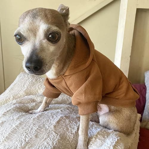 Jecikelon Soft Dog Hoodies for Small Dogs, Fleece Puppy Sweatshirt with Pockets, Warm Winter Cold Weather Coats for Pet Cat, Cute Clothes Puppy Costume (Coffee, Small) — view 4