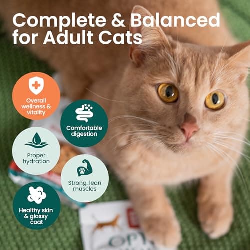 Optimeal Wet Cat Food Variety Pack - Savory Protein Selection, Grain Free Tender Morsels, High Protein Premium Nutrition Made with Natural European Ingredients, Adult Cat Pouches 3oz (Pack of 12) — view 5