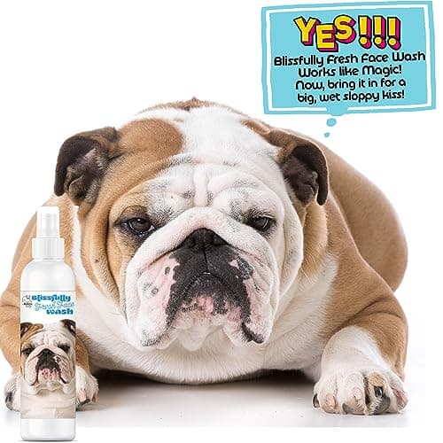 The Blissful Dog Blissfully Fresh Face Wash - Cleans Facial Folds and Wrinkles, 4-Ounce, Bulldog — view 5