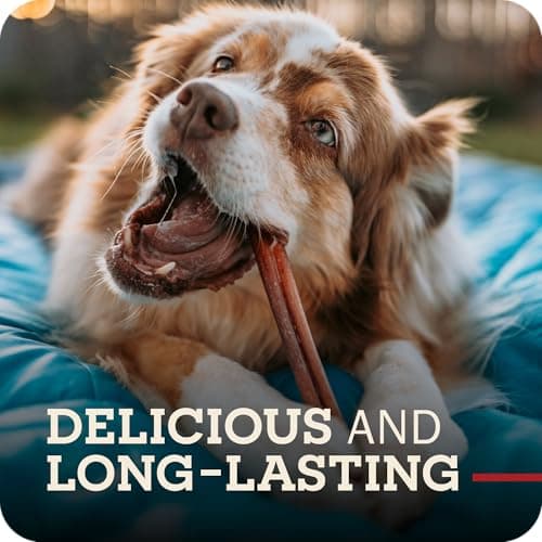 Redbarn Pet Products 12" Braided Bully Sticks for Dogs 2-Count, Pack of 12 — view 5
