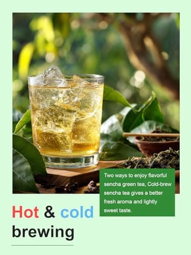 TeeLux Sencha Tea Bags, Premium Sencha Green Tea, Refreshing & Smooth Flavor, Iced & Hot Tea, 100 Count — view 5