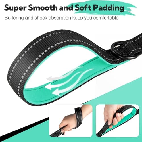 Dual-Handle Dog Leash 6FT, Heavy Duty Nylon with Reflective Threads,Black — view 4