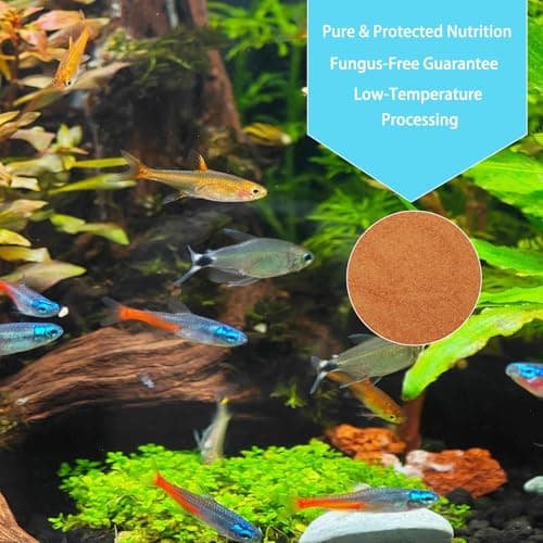 Vorenzyme Instant Daphnia Fish Food - No Hatch High Protein Fry Food with Astaxanthin for Betta, Guppy, Discus, Tropical Fish, Corals, Jellyfish & Seahorses in Saltwater & Freshwater Aquarium (50ml) — view 5