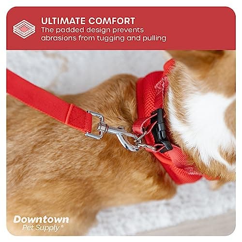 Downtown Pet Supply Step in Dog Harness for Small Dogs No Pull, Large, Red - Adjustable Harness with Padded Mesh Fabric and Reflective Trim - Buckle Strap Harness for Dogs — view 6
