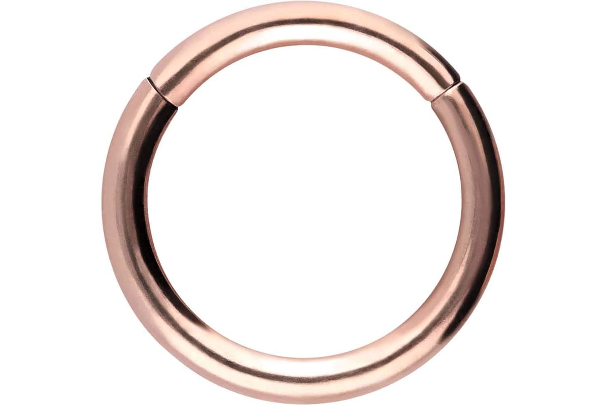 PIERCINGLINE Anillo segmento Clicker de acero quirúrgico – Piercing en oro, plata, rosa, negro o azul – para nariz, tabique, oreja, hélice o tragus — view 14
