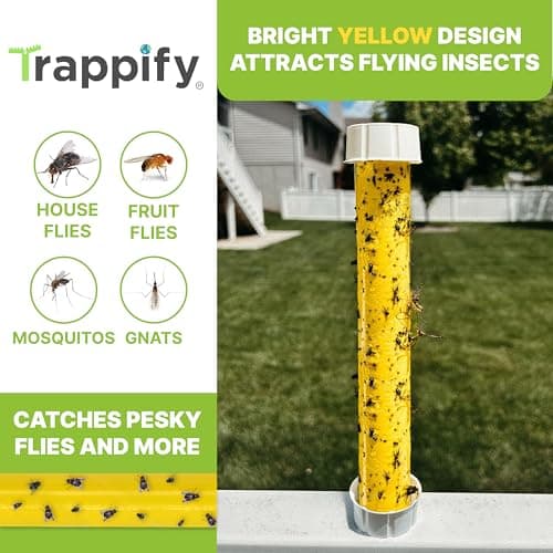 Trappify Hanging Fly Traps Outdoor: Fruit Fly Traps for Indoors | Fly Catcher, Gnat, Mosquito, & Flying Insect Catchers for Inside Home - Disposable Sticky Fly Trap for Indoor House Pest Control (2) — view 4