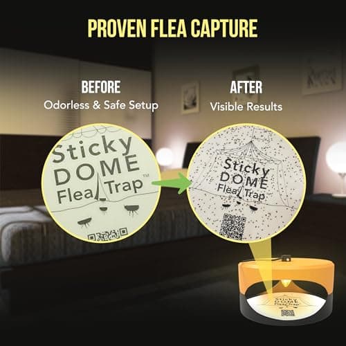 ASPECTEK Sticky Dome™ Flea Trap – 2 Pack | Indoor Insect Trap with 2 Sticky Discs, Odorless (Orange & Dark Gray) — view 6
