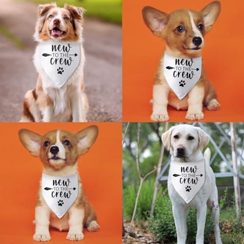 New to The Crew Dog Bandana New Puppy Announcement Gift for New Owners Puppy Bandana Dog Owner Gifts Triangle Bibs Scarf Accessories for Small Medium Dogs Pets — view 3