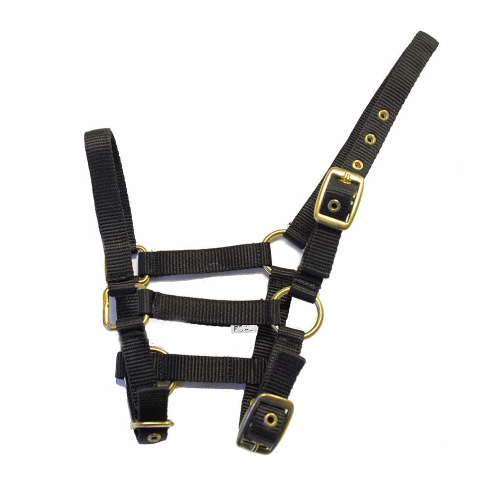 Rhinegold Collar de Nylon Potro — view 5