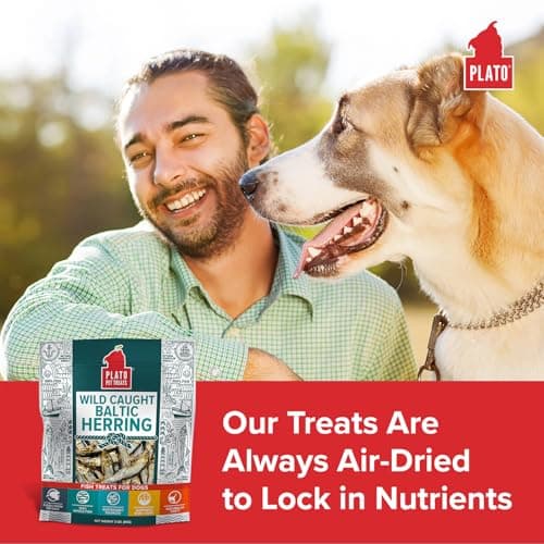 Plato Pet Treats Fish Dog Treats - Air-Dried, Single Ingredient Pet Treat - Omega 3 & 6 Fatty Acids to Support Skin and Coat - 100% Whole Fish - Wild Caught Baltic Herring - 3oz - 2 Pack — view 2