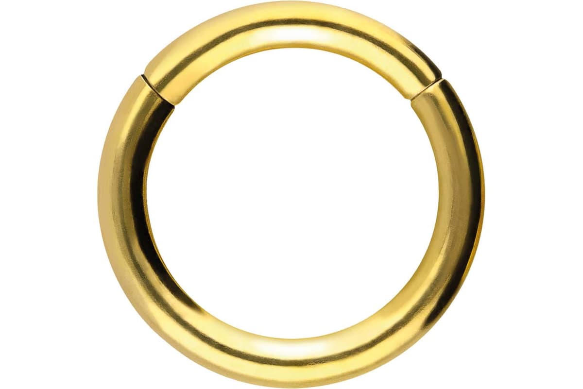 PIERCINGLINE Anillo segmento Clicker de acero quirúrgico – Piercing en oro, plata, rosa, negro o azul – para nariz, tabique, oreja, hélice o tragus — view 128