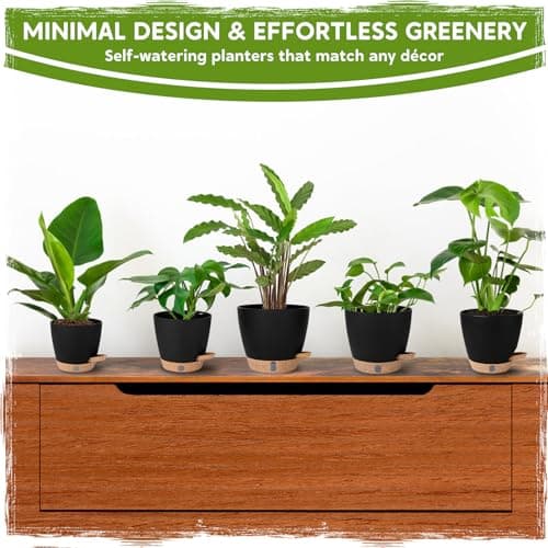 Self Watering Pots for Indoor Plants (5/5.5/6/6.5/8 Inch), Terra Cotta Planters with Water Level Indicator & Drainage,Wicking Pots for Monstera, Herbs & Snake Plant (Black, 5/5.5/6/6.5/8 Inch) — view 4