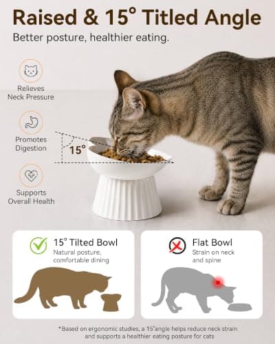 Wellbro Elevated Cat Food Bowl, Ceramic Titled Whisker Friendly, 5.3in Wide — view 2