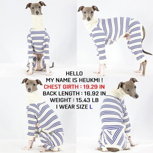D Doggy Star Italian Greyhound Clothes Soft Stretchy Onesie Refined Stripe Outfit Whippet for Dog Coat (L,Onsi Blue Str) — view 2