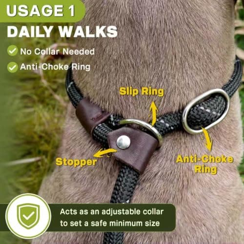 Fida Durable Slip Lead Dog Leash, 6 FT x 1/2" Heavy Duty Dog Loop Leashes, Comfortable Strong Rope Slip Leash for Large Medium Dogs, No Pull Pet Training Lead with Highly Reflective(1/2", Black) — view 3