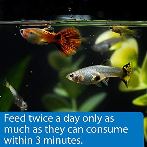 API TROPICAL MINI PELLETS Mini Sinking Pellets Fish Food 1.7-Ounce Container — view 3