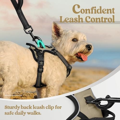 rabbitgoo Dog Harness No Pull with 2 Leash Clips, Adjustable Soft Padded, Reflective Oxford No Choke Pet Vest with Easy Control Handle for Puppy, Beige, XS — view 5