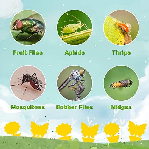 Fruit Fly Traps Fungus Gnat Traps Yellow Sticky Bug Traps 36 Pack No Harm and Odorless for Indoor Outdoor Use Protect The Plant — view 4