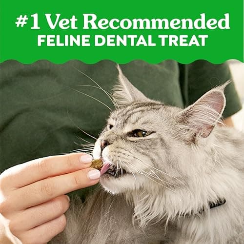 Greenies Cat Treats, Feline Veterinarian-Recommended Adult Natural Dental Cat Treats, Oven Roasted Chicken Flavor, 2.1 oz. Pouch — view 3