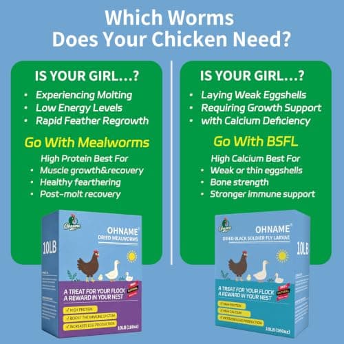 OHNAME 10LB Dried Black Soldier Fly Larvae for Chickens - 85X More Calcium Than Mealworms for Strong Eggshells, High-Protein Chickens Treats for Laying hens, Birds, Ducks — view 2