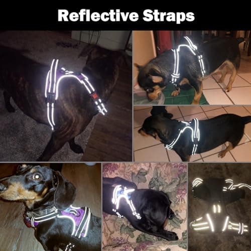 PHOEPET Reflective Dog Harness Large Breed Adjustable No Pull Vest with with Handle 2 Metal Rings 3 Buckles [Easy to Put on & Take Off](M, Orange) — view 4