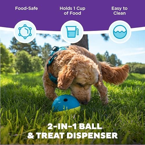 Outward Hound by Nina Ottosson Treat Tumble Interactive Puzzle Ball Dog Toy, Level 1 Beginner, Blue, Small