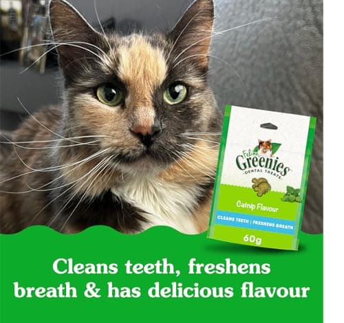 GREENIES Feline Cat Treats Adult Natural Dental Care, Catnip Flavour, 2.1oz. Pouch — view 3