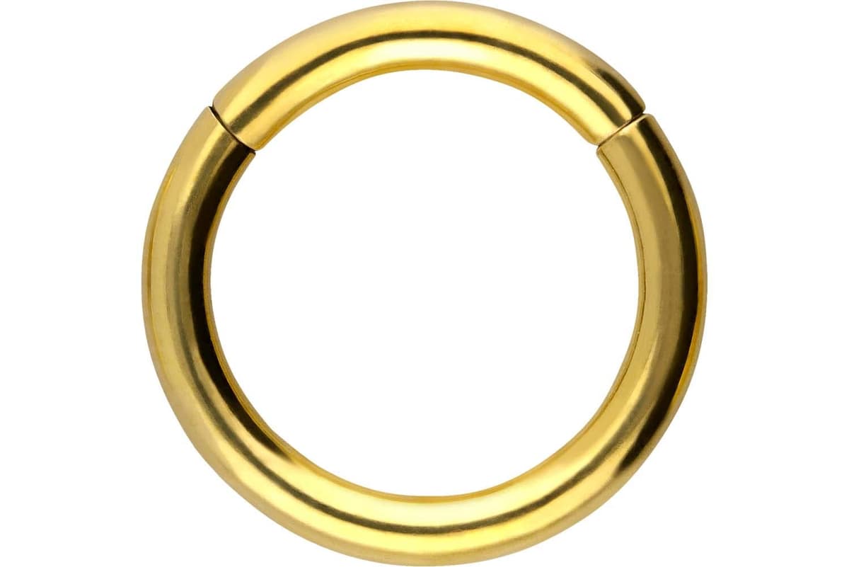 PIERCINGLINE Anillo segmento Clicker de acero quirúrgico – Piercing en oro, plata, rosa, negro o azul – para nariz, tabique, oreja, hélice o tragus — view 58