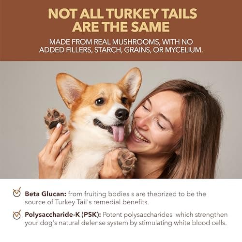 Petpal Turkey Tail Powder with Reishi | Pure Mushroom Powders with Beta Glucans | Lumps, Warts, Bumps | Superfood Topper | Organic | 60g — view 4