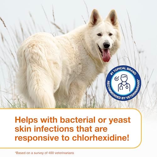 Douxo S3 Pyo Shampoo, Contains 3% Chlorhexidine & 0.5% Ophytrium, Antiseptic & Hydrating, for Bacterial or Yeast Skin Infections, for Dogs and Cats, 6.7 fl. oz. (200mL) — view 6