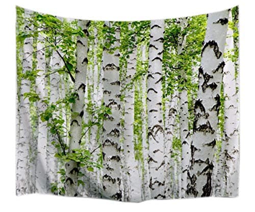 A.Monamour Birch Forest Trees Green Leaves Nature Scenery Print Textile Fabric Tapestry Wall Hangings Decorations For Kids Bedroom Decors 153X102Cm/60"X40"