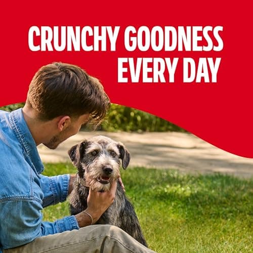 Milk-Bone Crunchy Medium Dog Treats, 10 Lb. Box, Original Beef Flavor — view 5