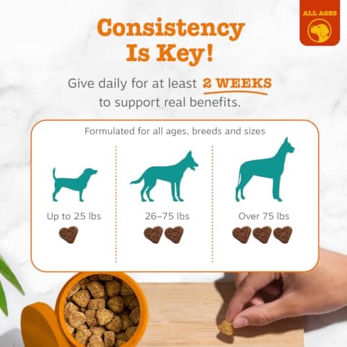 Zesty Paws Calming Chews for Dogs Composure & Relaxation for Everyday Stress & Separation Peanut Butter 90 Count — view 4