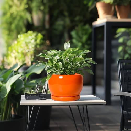 SQOWL Ceramic Pot for Plants - 8 Inch Plant Pot Indoor Outdoor, Modern Round Planter with Drainage Hole and Saucer, Decorative Planter for Flower, Office Decor, Garden Gifts for Women, Orange — view 4