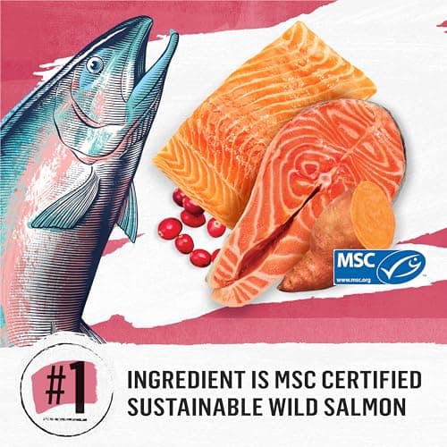 Beyond Grain Free Natural Dry Cat Food, Indoor Cat Wild-Caught Salmon & Egg - 2.26 kg Bag — view 3