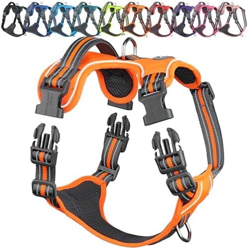 VIVAGLORY No Pull Dog Harness Vest Harness, L, Orange - Patterned