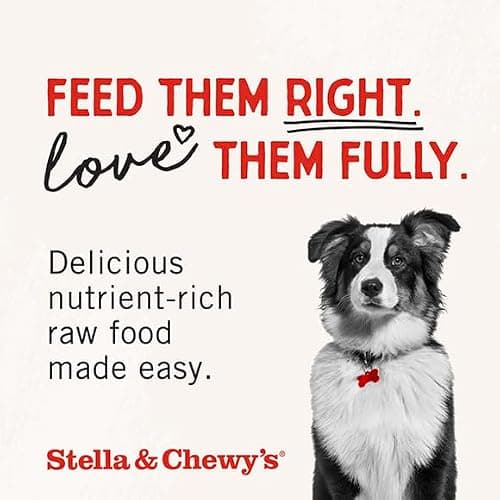 Stella & Chewy's Freeze-Dried Raw Chicken Meal Mixers- Dog Food Topper and Mixer - Made with 95% Cage-Free Chicken, Organs & Bone - Perfect for Picky Eaters - Grain-Free - 1oz — view 7