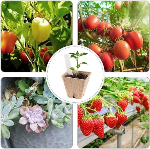 100 Pcs Square Peat Nursery Pots 3 Inch, Biodegradable Peat Pots Plant Starters with Drainage Holes, Organic Germination Plant Starter with Plant Labels for Indoor Outdoor Gardens — view 6