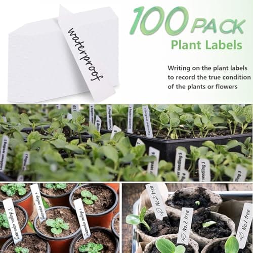 251PCS Seed Pod Kit for Aerogarden, Hydroponics Growing System for Garden Indoor, Grow Anything Kit for Hydroponics, 60 Grow Sponges, 60 Pod Labels, 15 Baskets, 15 Domes,100 Plant Labels, 1 Tweezers — view 7
