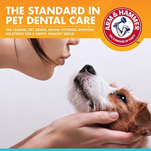 Arm & Hammer Dog Dental Care Fresh Breath Enzymatic Toothpaste for Dogs | No More Doggie Breath | Safe for Puppies, Advanced Care, Chicken Flavor — view 4