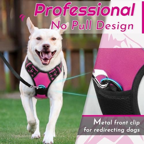 Eagloo Dog Harness No Pull, Walking Pet Harness with 2 Metal Rings and Handle, Adjustable Reflective Breathable Oxford Soft Easy Control Vest for Small Medium Large Dogs, Rose Red, L — view 2