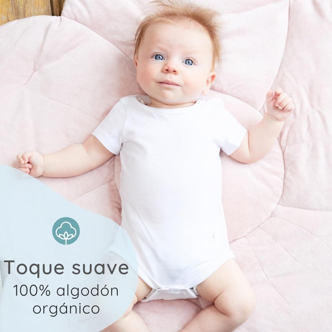 Bramble & Bear Body Bebé Manga Corta/Largo Pack de 3/6 - Body Bebé Unisex de Algodón Orgánico para Bebés de 0 a 3 años — view 2